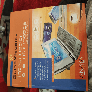 Introduccion a la Informatica/ Introduction to Information Technology (Guias Visuales)