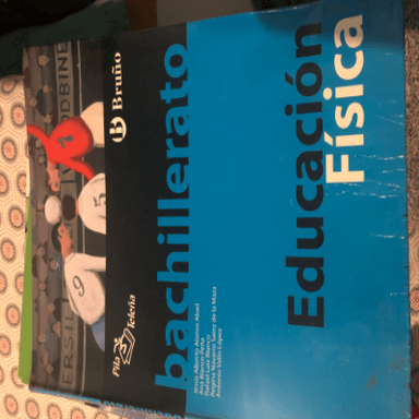 Educación Física 