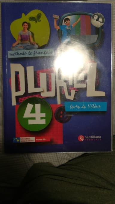 pluriel 