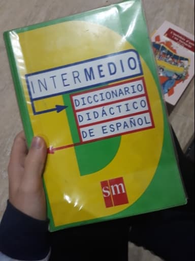 Diccionario didáctico de español : intermedio