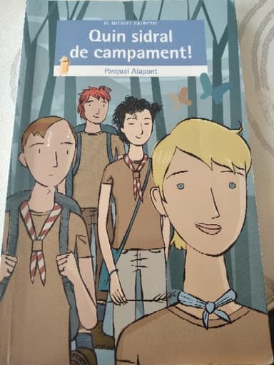 Quin sidral de campament!