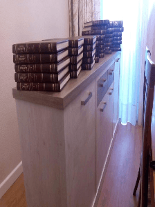 ENCICLOPEDIA LAROUSSE ILUSTRADO