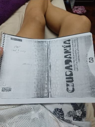 Ciudadanía Protección de Derechos Humanos. Constitución Nacional y Tratados.