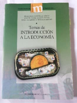 temas de introducción a la economía 