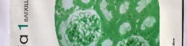 Biologia 1r Batxillerat