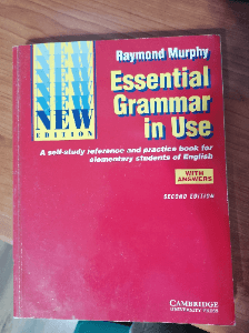 Essential Grammar in Use With Answers 