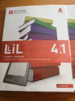 Llengua i Literatura