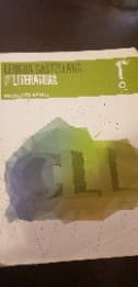 Lengua castellana y literatura 