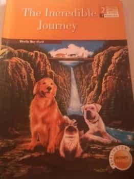 the incredible journey