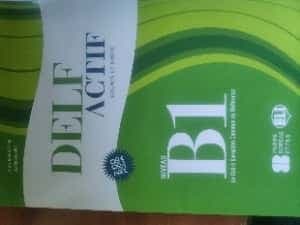 Delf Actif Niveu B1 libro francés