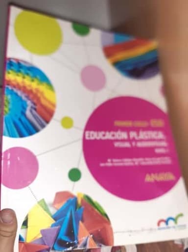 Educación plástica, visual y audiovisual Nivel 1