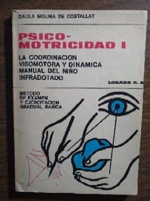 Psicomotricidad I: La coordinación visomotora y dinámica manual del niño infradotado
