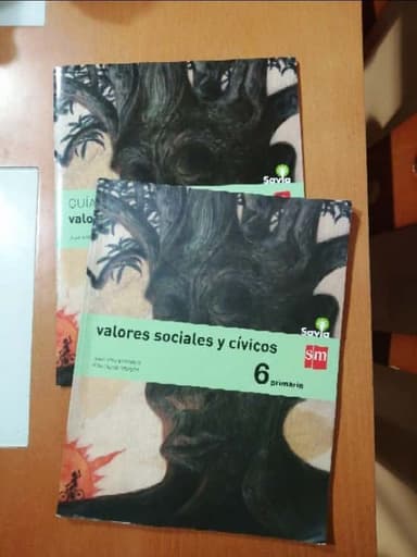 valores sociales y cívicos 6 primaria 