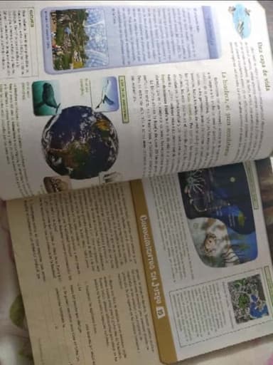 Ciencias Naturales y Tecnología 