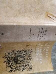 Historia de la literatura española II.  Epoca Barroca