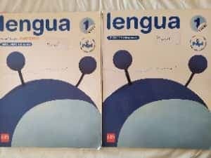 primaria lengua castellana segundo y tercer trimestre