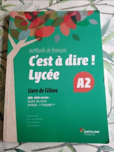 CEST Á DIRE! LYCÉE
