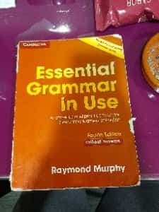 Essential Grammar in Use. Without answers