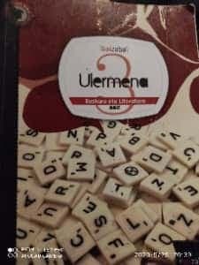 euskera eta Literatura ulermena