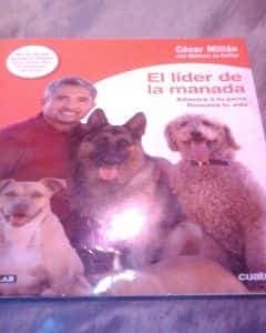 EL ENCANTADOR DE PERROS