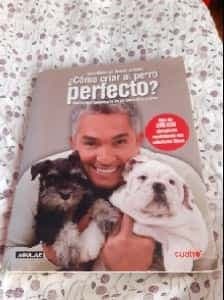 ¿Cómo criar al perro perfecto?