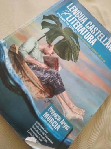 Lengua castellana y literatura 