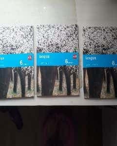Lengua castellana y literatura sexto de primaria (savia)