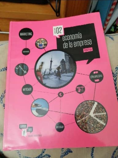 economía de la empresa