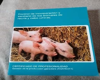 Control de incorporación y sanitario de los animales de recría y cebo