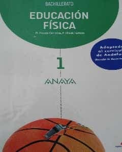 Educacion fisica