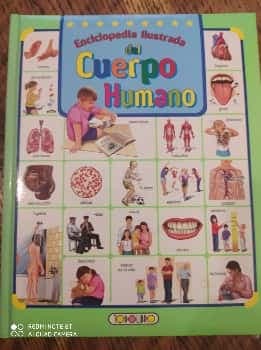 Enciclopedia ilustrada del Cuerpo Humano