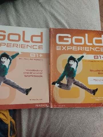 Gold Experience. B1+. Per Le Scuole Superiori. Con Espansione Online