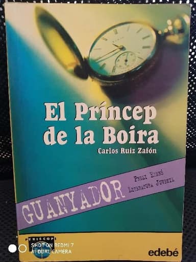 El princep de la boira