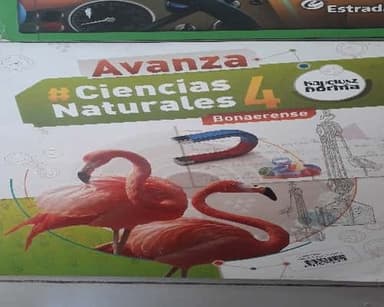 Avanza, Ciencias Naturales 4