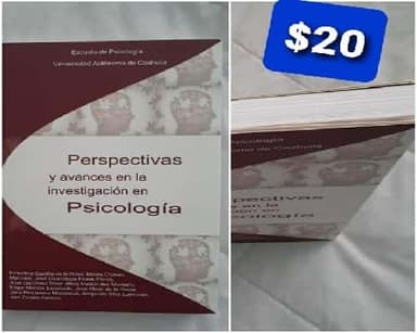 perspectivas y avances en la investigación en Psicologia