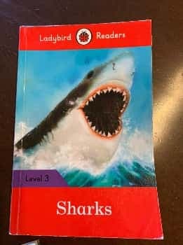 Sharks Level 3