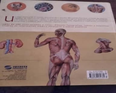 Atlas Ilustrado de Anatomia/ Anatomy Illustrated Atlas