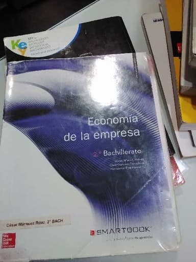 Economía de la empresa