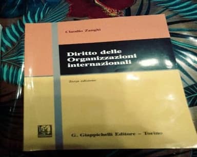 Diritto delle organizzazioni internazionali terza edizione