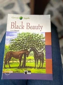 Black Beauty+cd