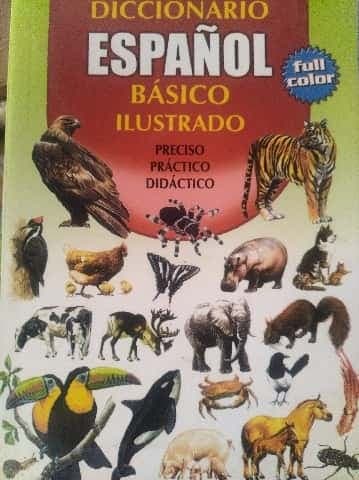 chico ilustrado