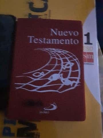 nuevo testamento 