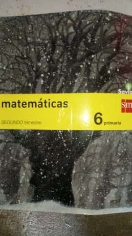 Matemáticas segundo trimestre 