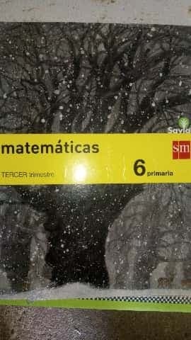 Matemáticas tercer trimestre 