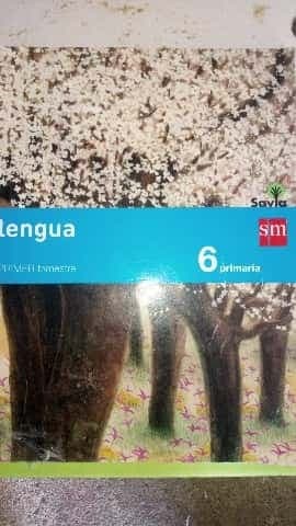 Lengua primer trimestre 