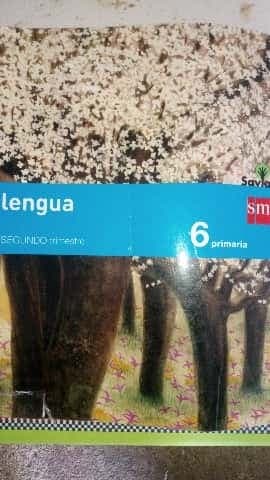 Lengua segundo trimestre 