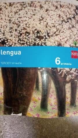 Lengua tercer trimestre 