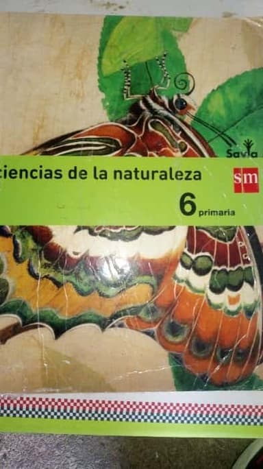 Ciencias de la naturaleza, 6 Primaria, Savia
