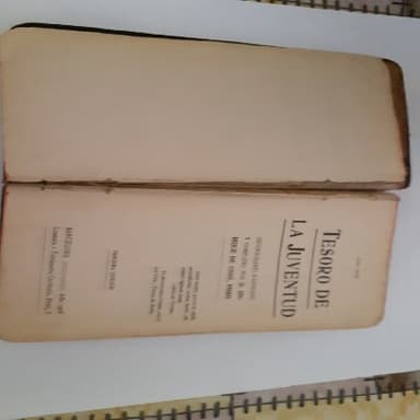 TESORO DE LA JUVENTUD