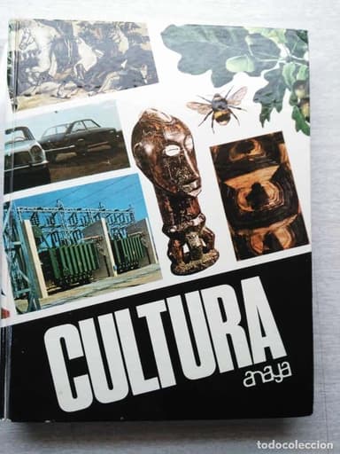 CULTURA NIVEL CERTIFICADO ESTUDIOS PRIMARIOS EDITORIAL ANAYA AÑO 1.969